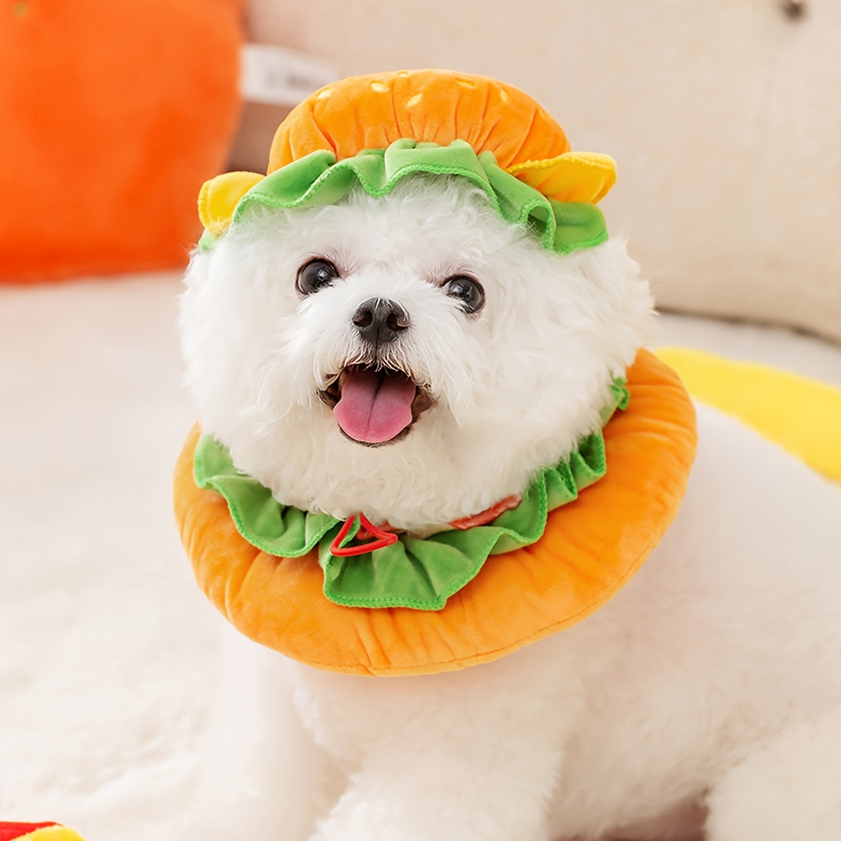 Burger-Kopfbedeckung, Haustiermütze, lustige Kopfbedeckung für Hund und  Katze