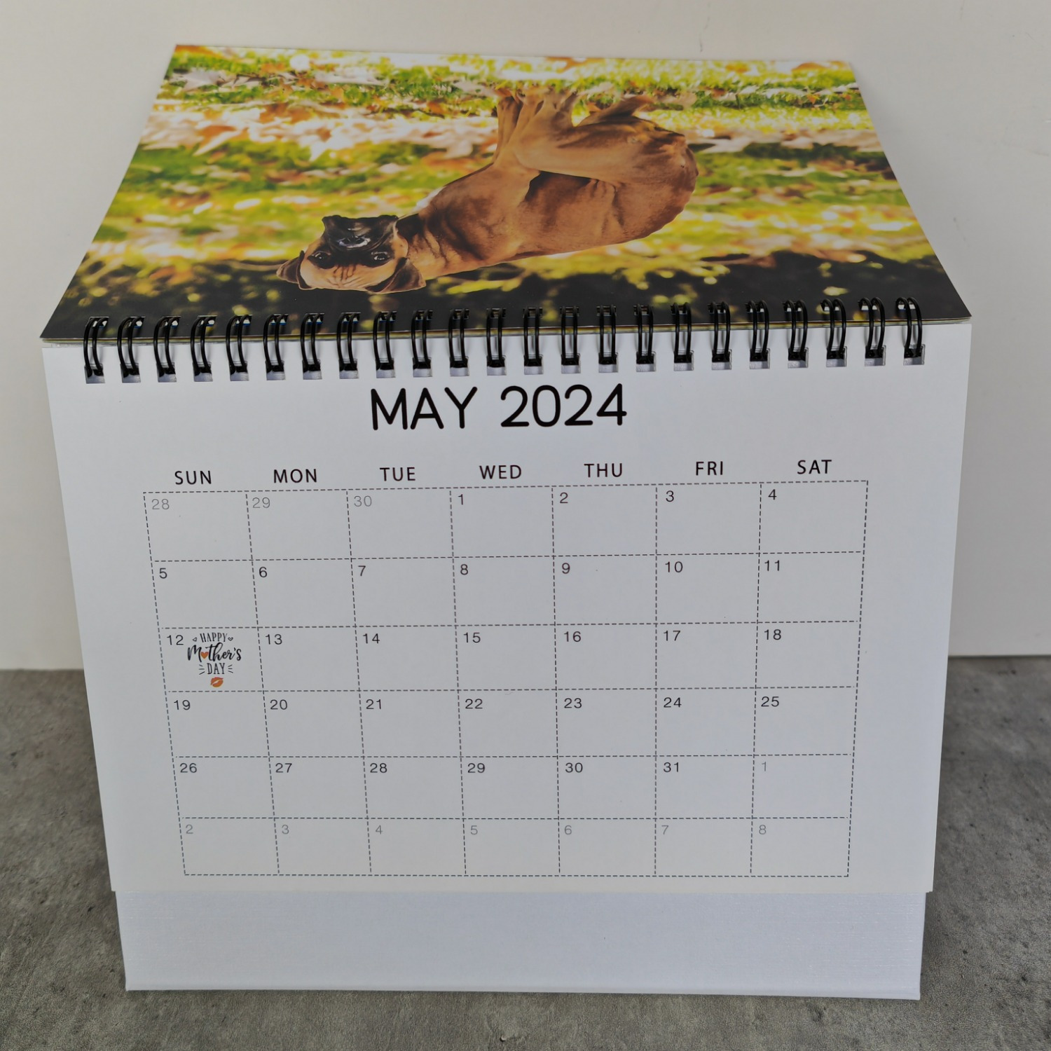 1pc Nuovo Calendario 2024 Cani Cacca Calendario Cane - Temu Italy