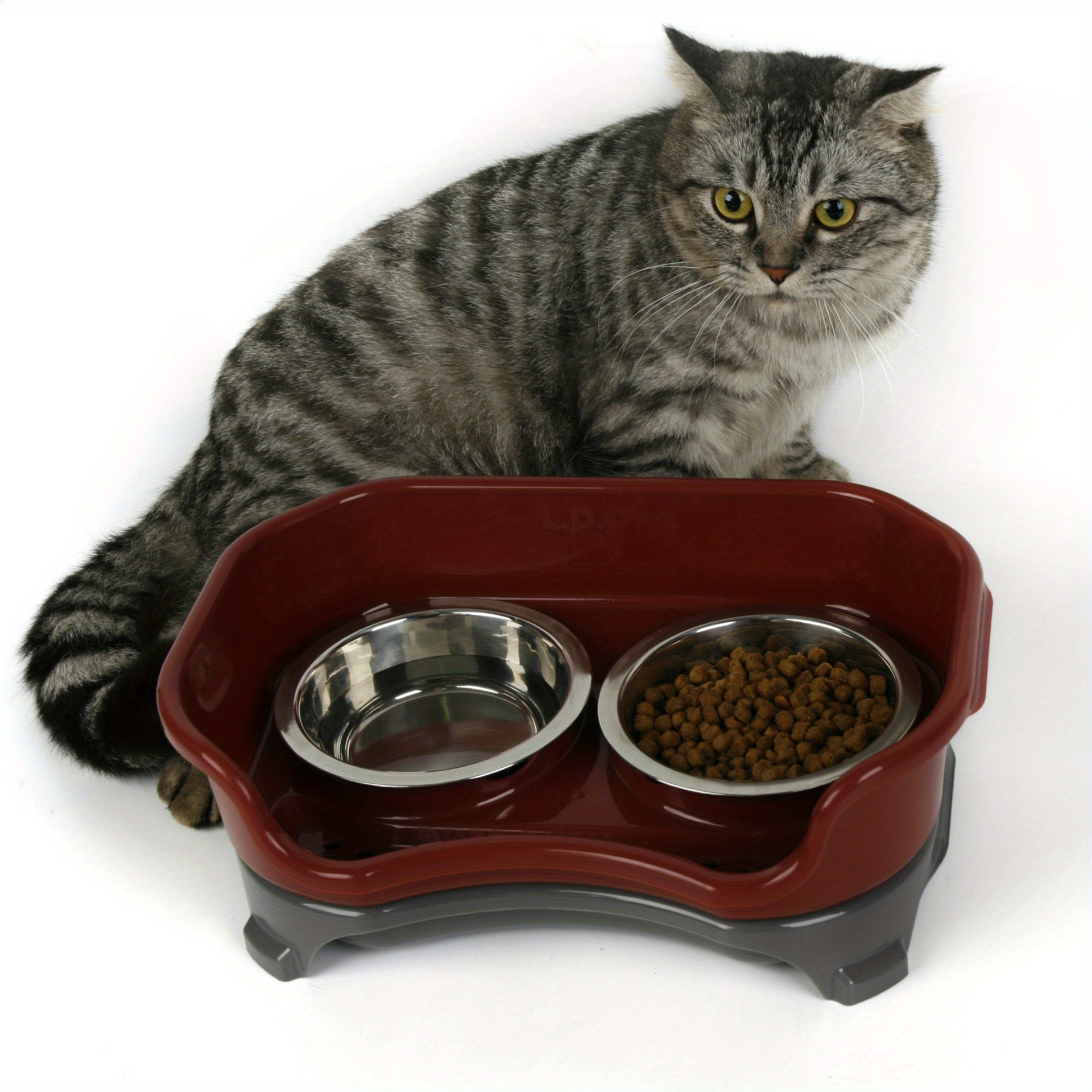 Elevated Cat Double Bowls Layered Design Stand Stainless Temu Canada