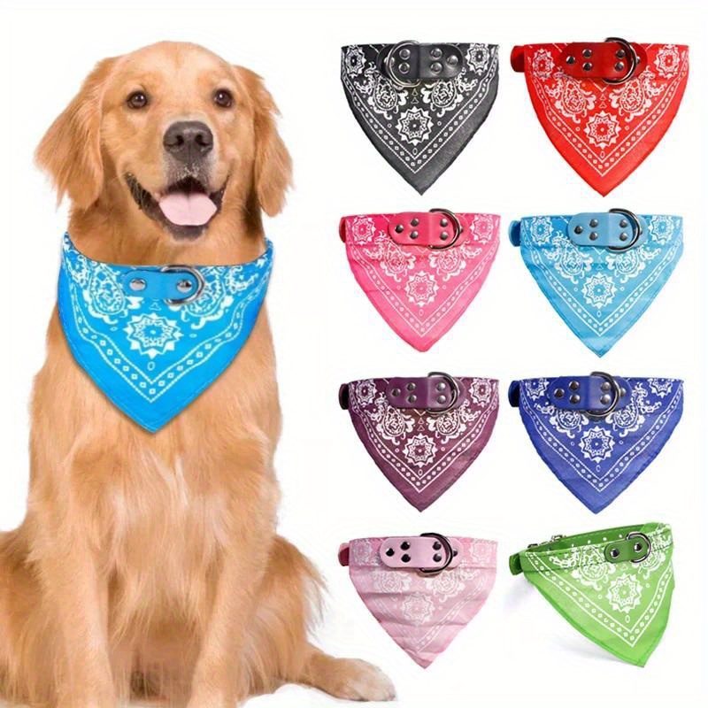 Shop Stylish Dog Collars for Pups