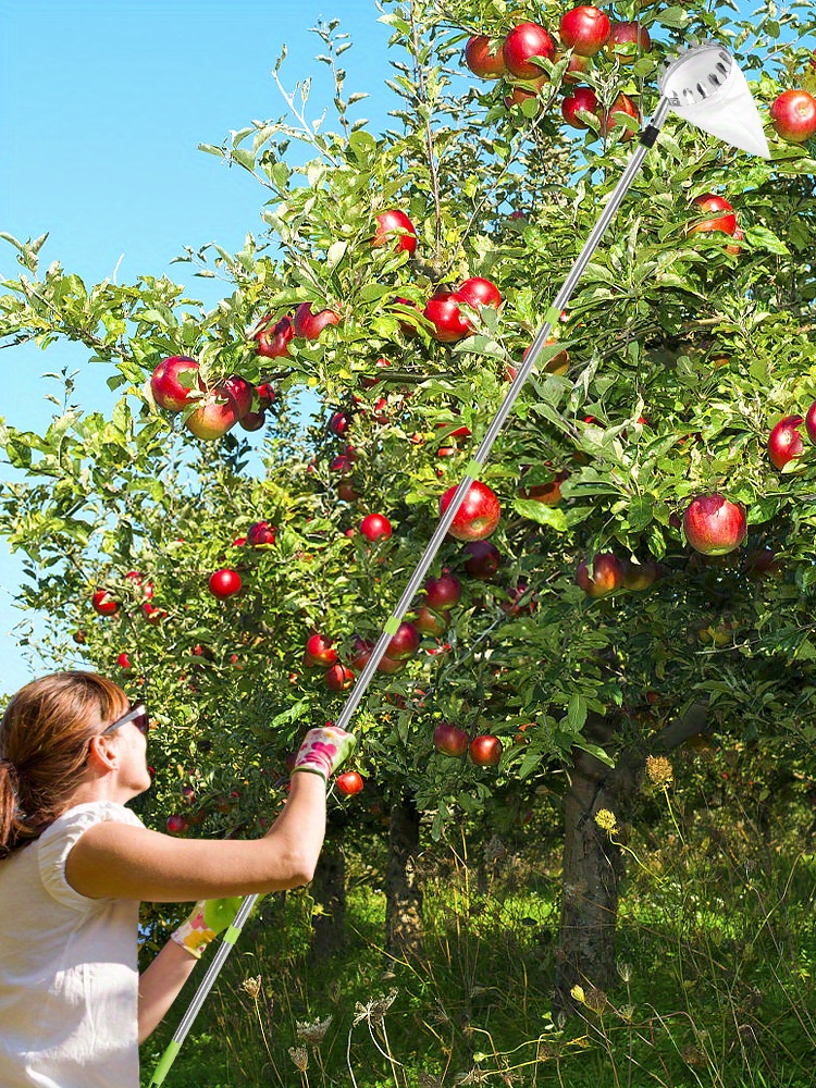 OIPL Maniglia Antiscivolo Raccogli Frutta Cestino Asta for Frutta-Strumento  for Raccogliere Frutta Telescopico con Cestello, for Mela Arancia, Pesca,  Pera, Mang 23.8.9 (Size : 4m) : : Giardino e giardinaggio