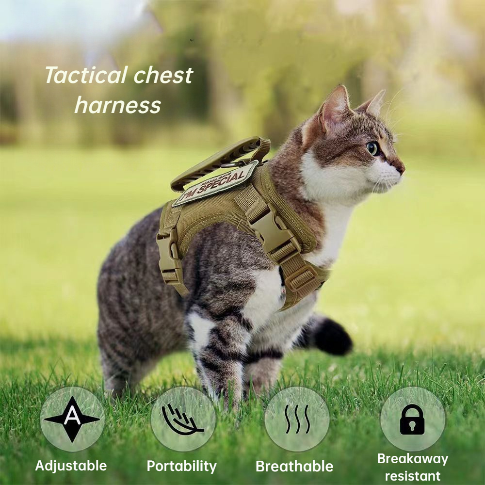 Outdoor 2024 cat harness