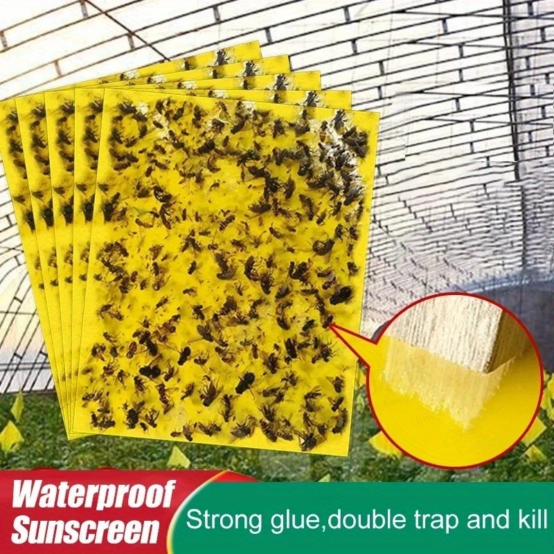 Lot de 25 pièges adhésifs jaunes, Piège à moucherons en papier jaune et  pièges adhésifs pour mouches des fruits, moucherons champignons et autres  insectes