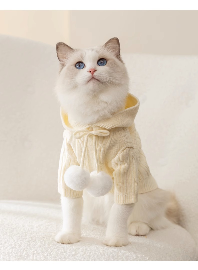 Cat clothes shop for adults