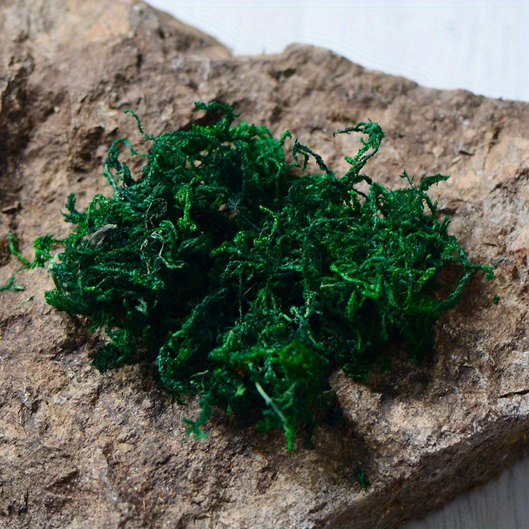 Forest Green Artificial Moss Perfect For Fairy Gardens - Temu