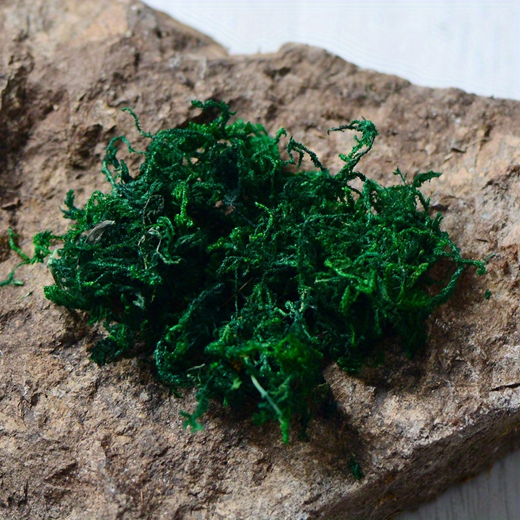 Forest Green Artificial Moss Perfect For Fairy - Temu Mexico