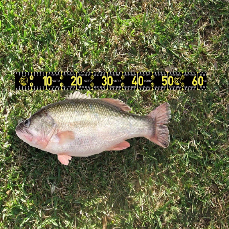 1-3Pcs Waterproof Fish Measuring Ruler Foldable Fishing Measuring