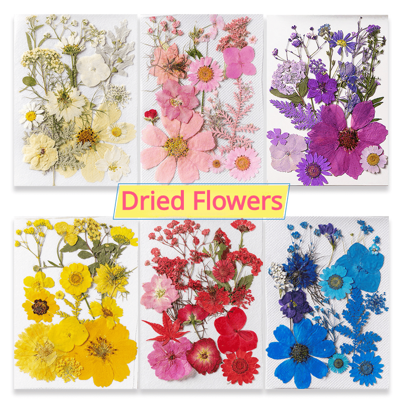 1 Bag Of Colorful Natural Dried Flowers Elegant Fashion For Soap