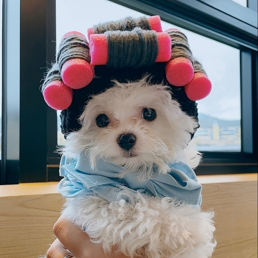 Disfraz De Pelo De Perro Pelucas De Cosplay Para Gatos - Temu