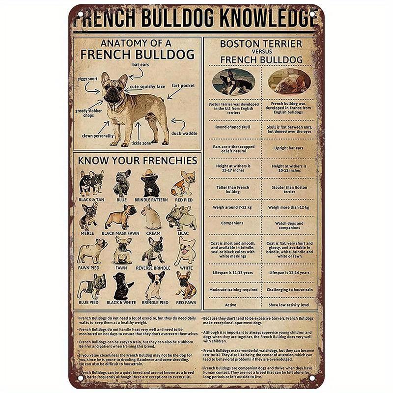 french bulldog knowledge metal tin sign home decor   retro metal tin sign details 0