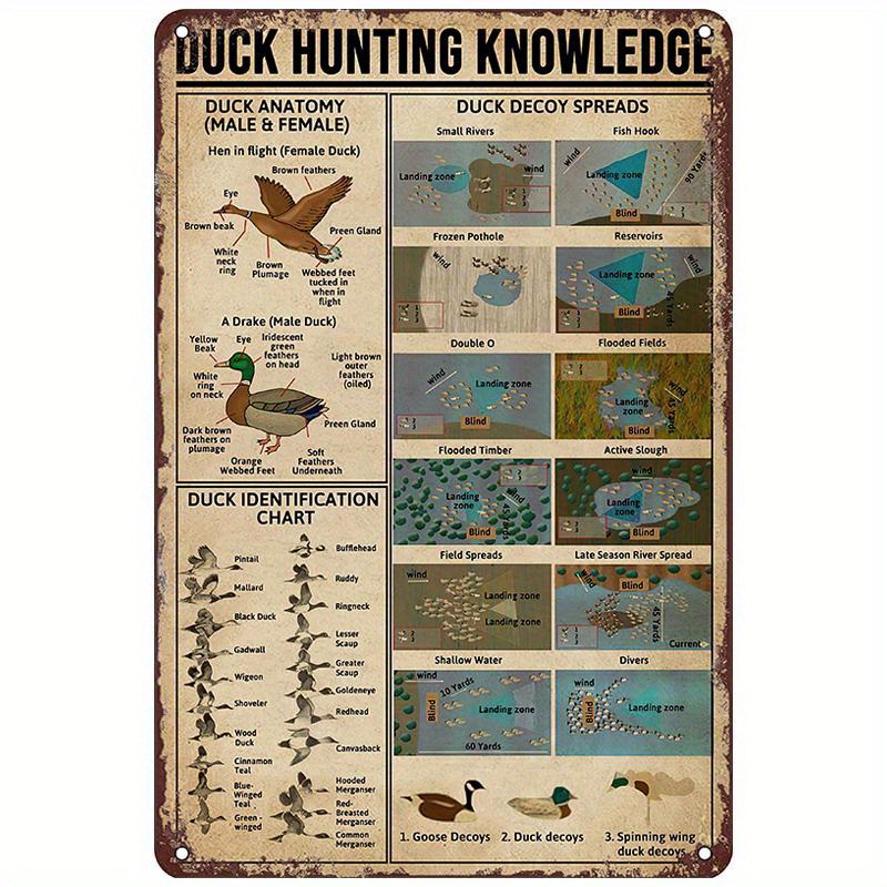 duck hunting knowledge retro metal tin signs vintage tin sign funny wall art retro tin sign metal poster for home bar   home kitchen gym     wall poster sign details 0