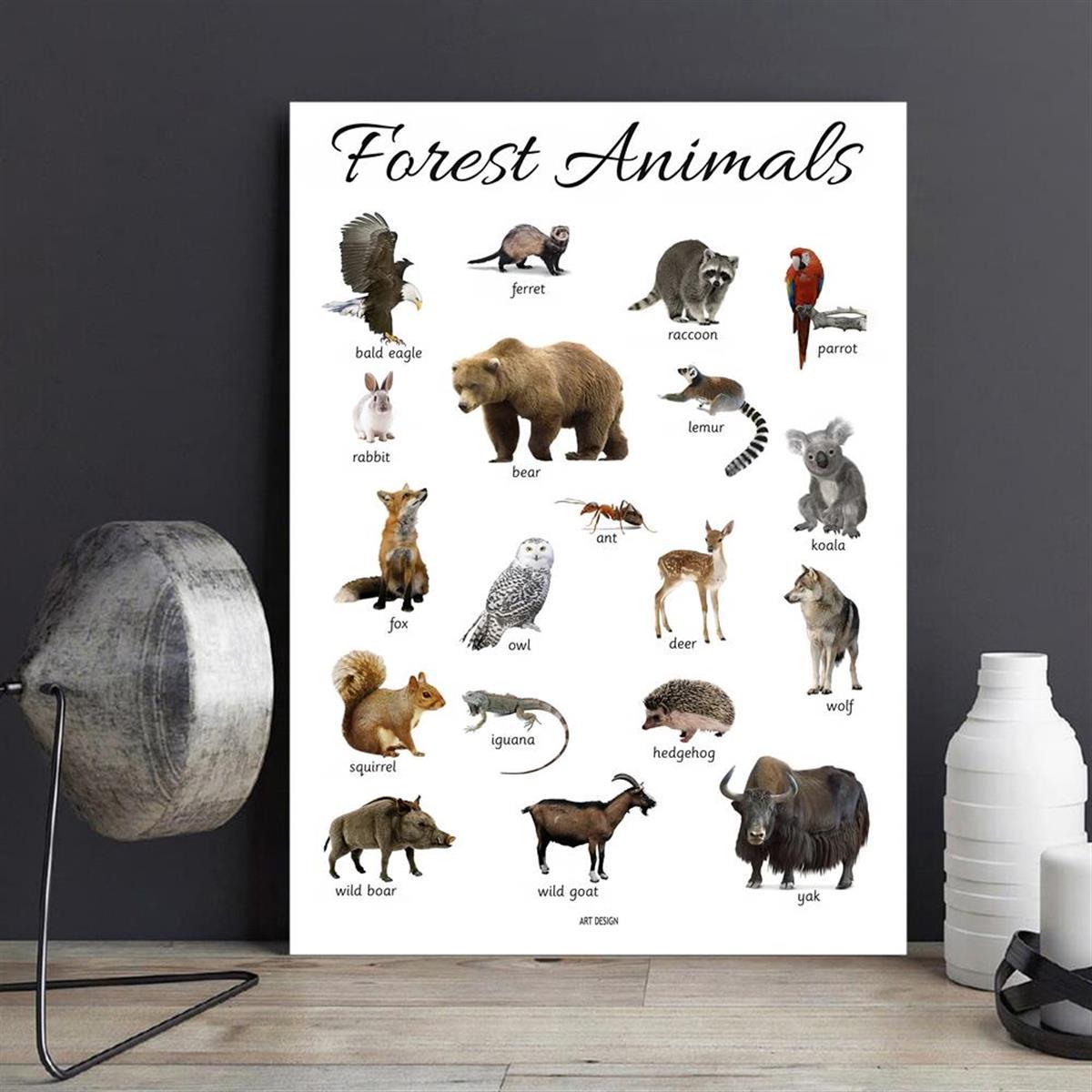 Affiche animaux de la forêt - Poster Éducatif Aquarelle