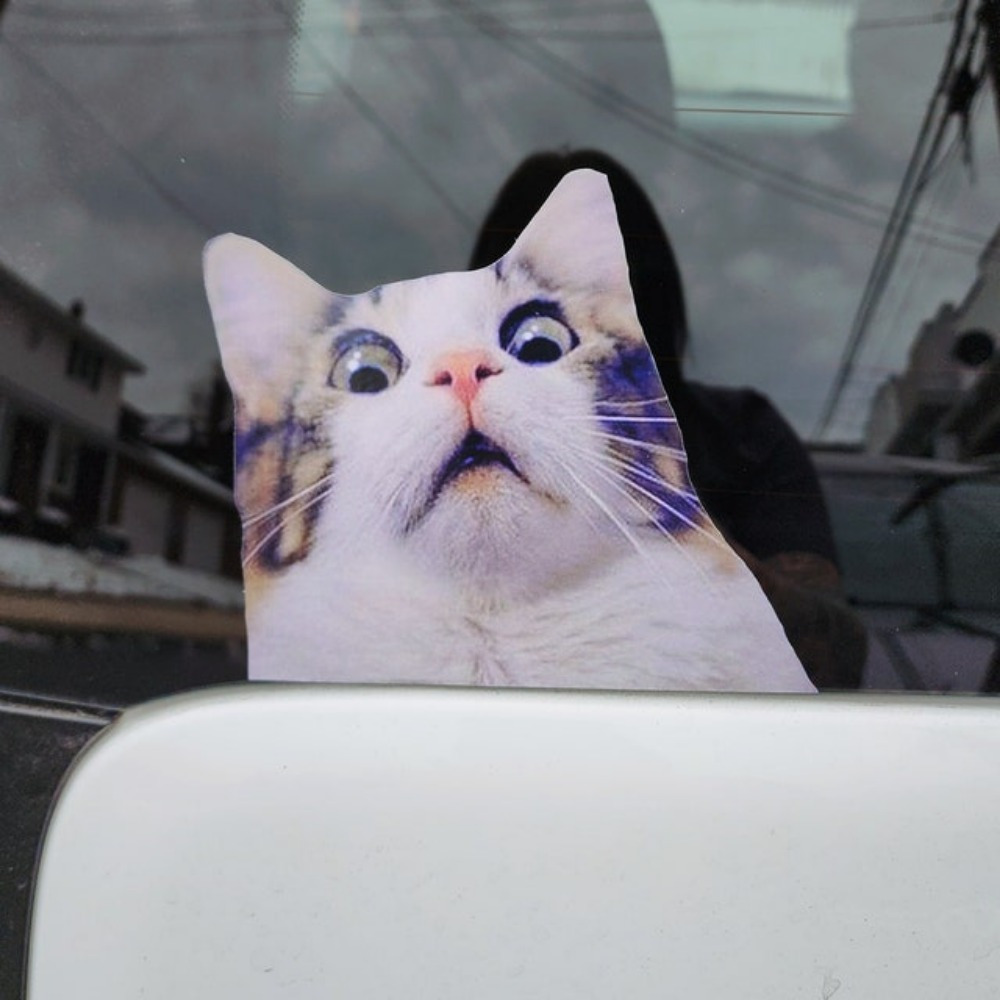 Confused Cat Meme Decal