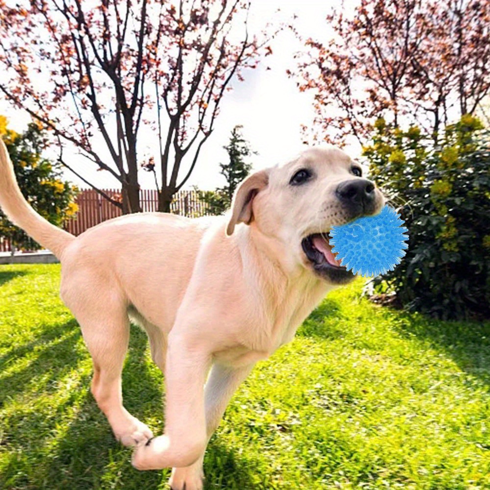 Dogs Chew Spiky Ball Soft Tpr Squeaky Dog Ball Toys - Temu