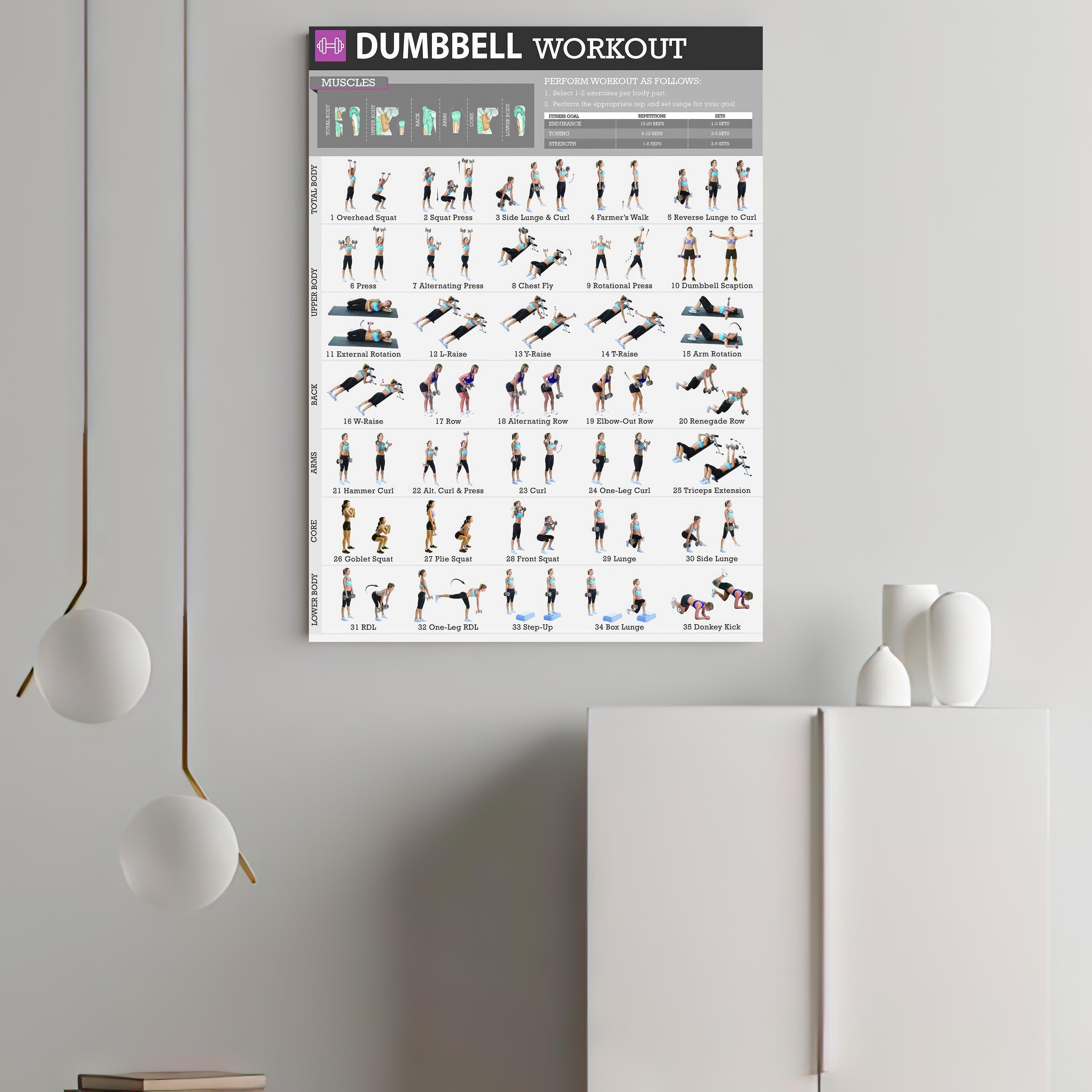 Canvas Poster Modern Art Dumbbell Workout Chart Exercise - Temu Canada