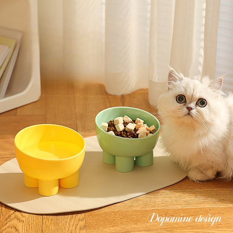 Persian cat best sale water bowl