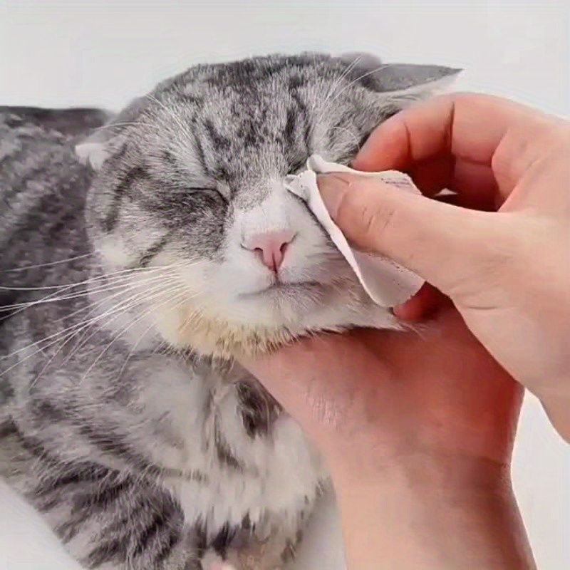 Best cat hot sale eye wipes