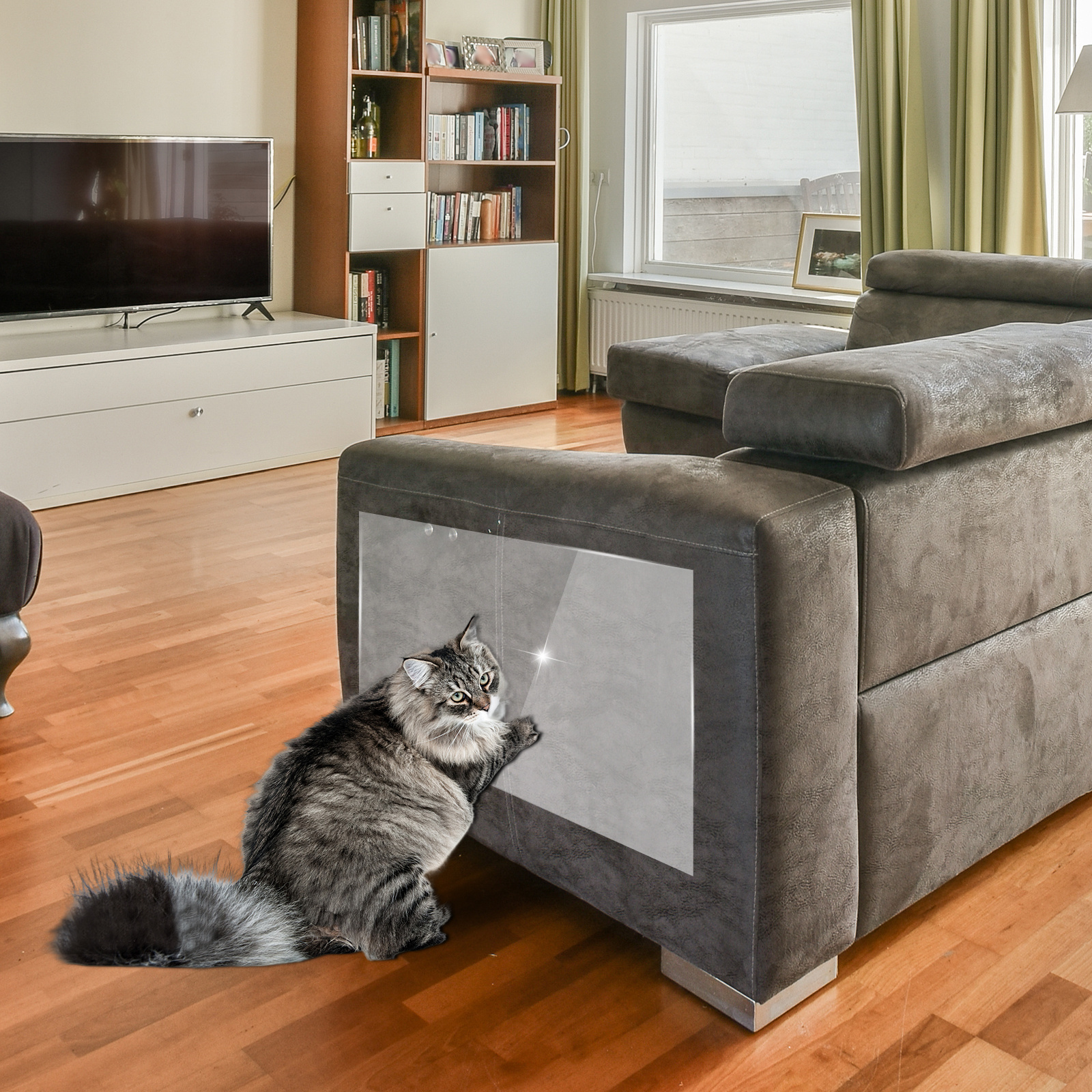 Cat scratch resistant carpet sale