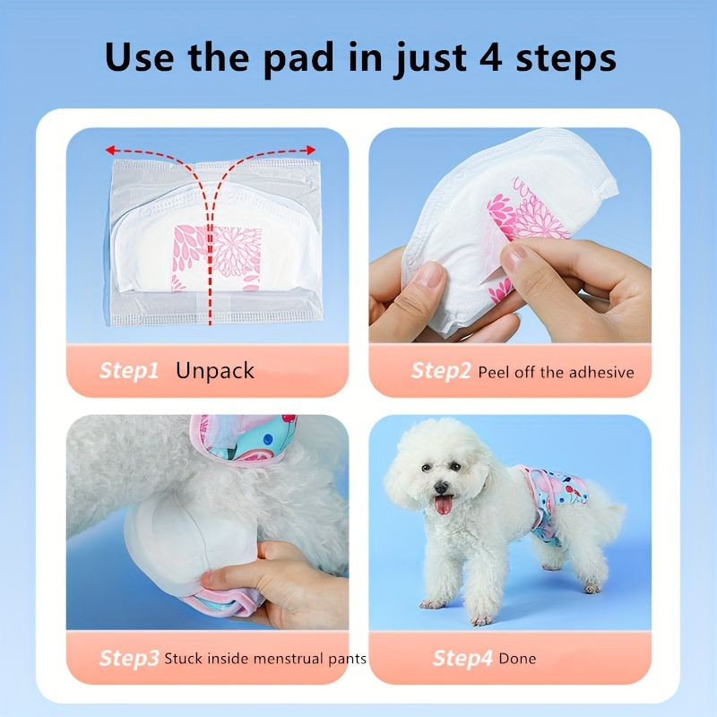 Fashion dog ate period pad