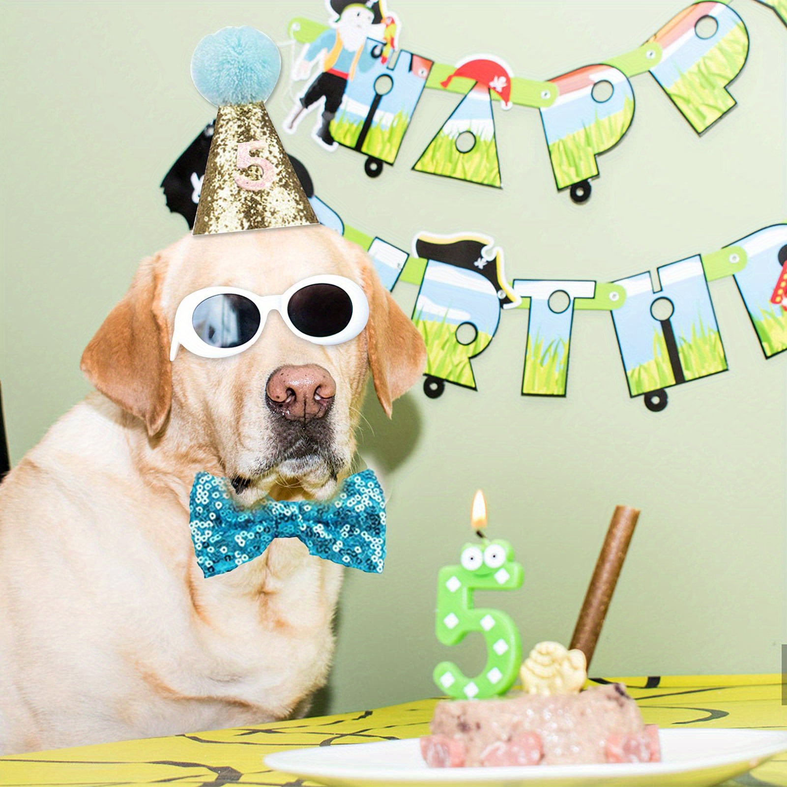 2pcs/set Cappello Di Compleanno Per Cane E Kit Bandana, Collare Con Fiocco  E Numero Bianco Per Decorazioni Di Compleanno Per Animali Domestici