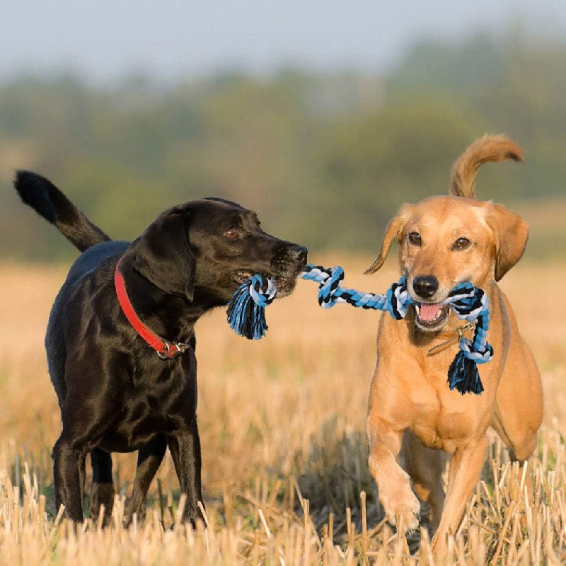 Dog Rope Toys for Aggressive Chewers - Interactive Toy for Large