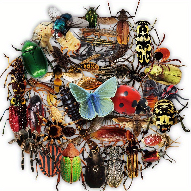 Rouleaux d'autocollants motif insectes