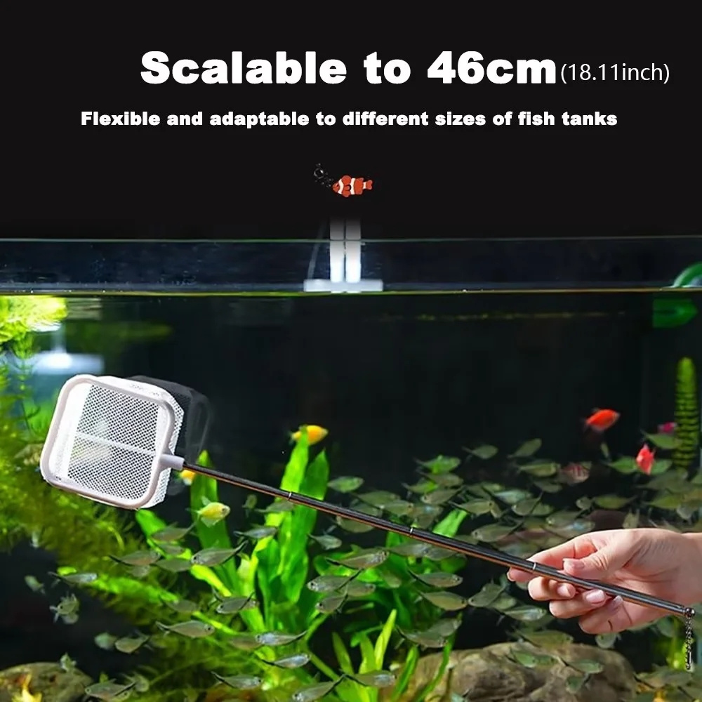 Aquarium Shrimp Net Tiny Fish Tank Net Extendable Stainless - Temu