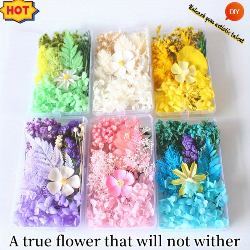 Handmade White Hollow Dried Flower Photo Frame With - Temu