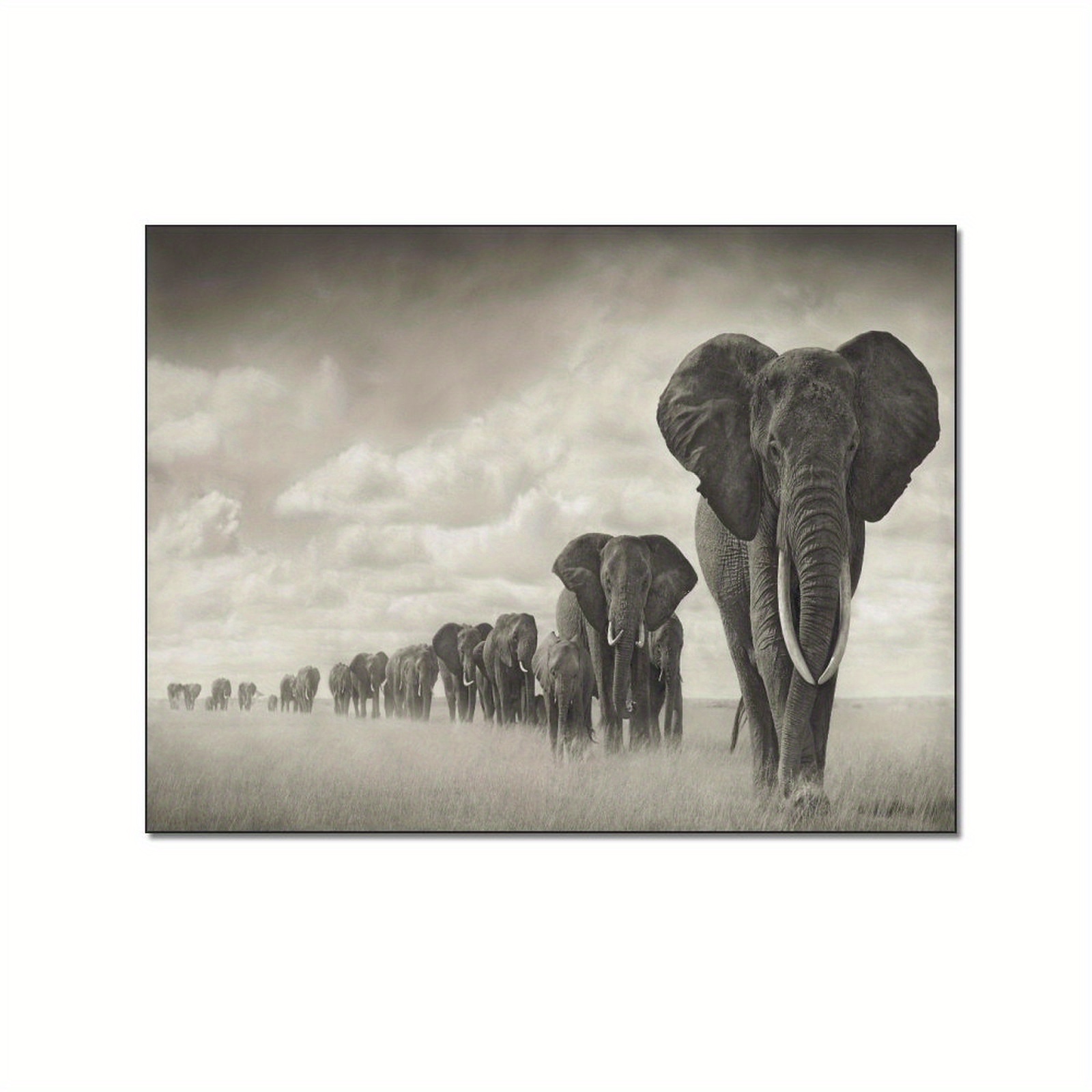 Modern African Animal Wall Art Print Large Hd Painting - Temu