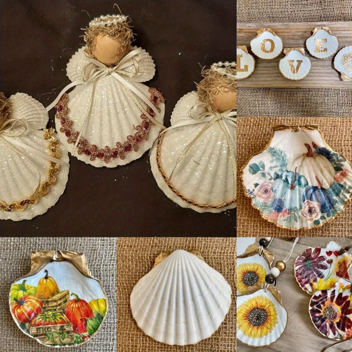 Natural Scallops For Diy Crafts Home Decor White Sea Shells - Temu