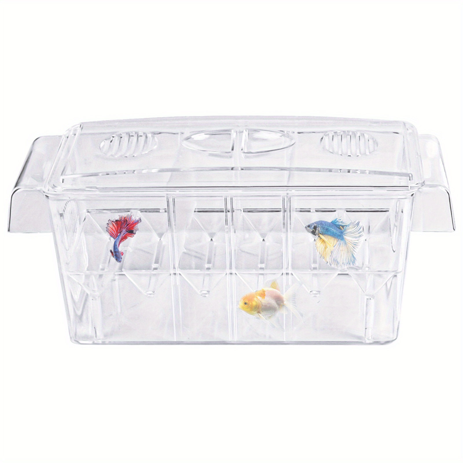 Aquarium Incubator Net Fish Shrimp Isolation Box Small Fish - Temu