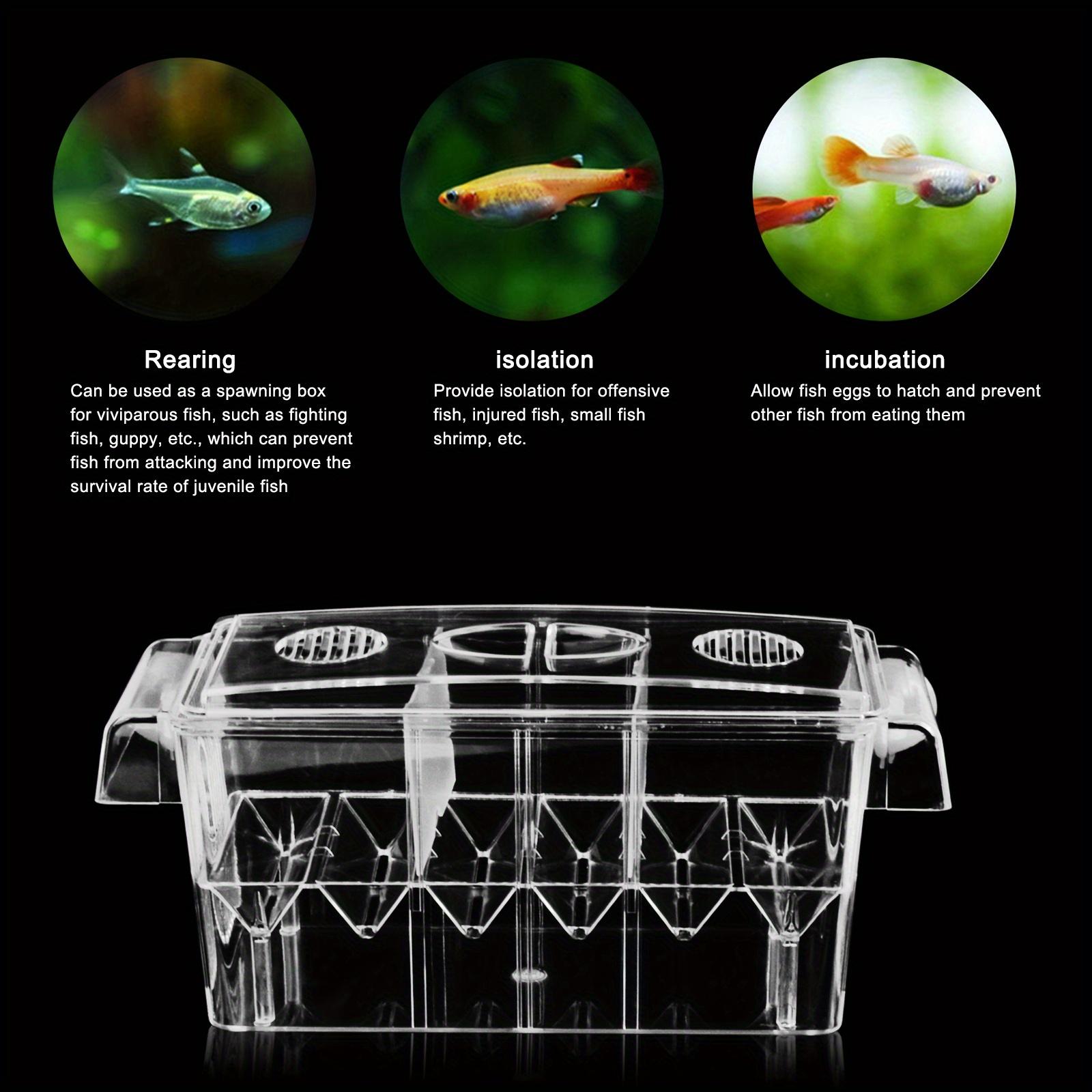 Fish Breeding Box Large Capacity Solation Hatchery Box Plastic Fish Hatchery  Isolation Floating Box Aquarium Incubator With Suction Cups, Shop Now For  Limited-time Deals