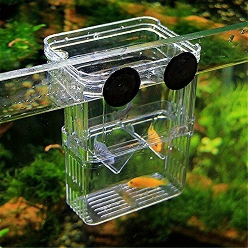Multifunctional High Clear Fish Breeding Isolation Box - Temu