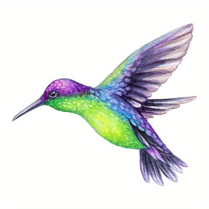 Beautiful Vibrant Colored Hummingbird Art Funny Car Sticker - Temu