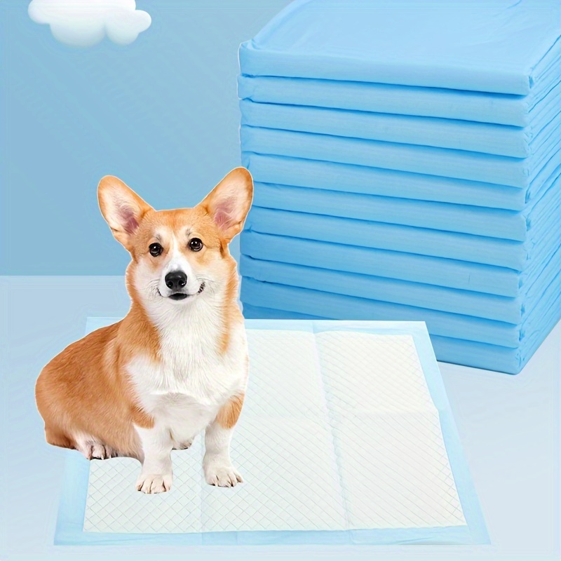 

20pcs Disposable Pet Training Pads, Highly Absorbent Leak-proof Dog Pee Mats With Odor Control, Perfect For Puppies & Indoor Pet Use