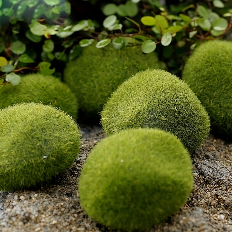 Marimo Moss Balls Aquarium Fish Tank Ornament Simulation - Temu