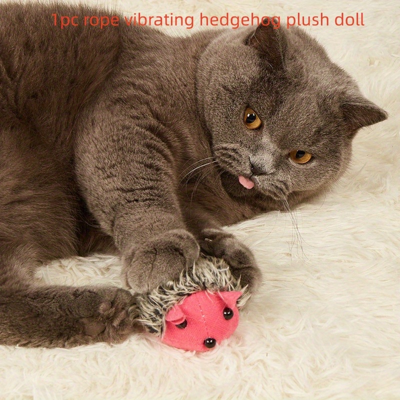 vibrating hedgehog toy Hugs & Kisses Vibrating Baby Hedgehog Soft Play Toy main image 0