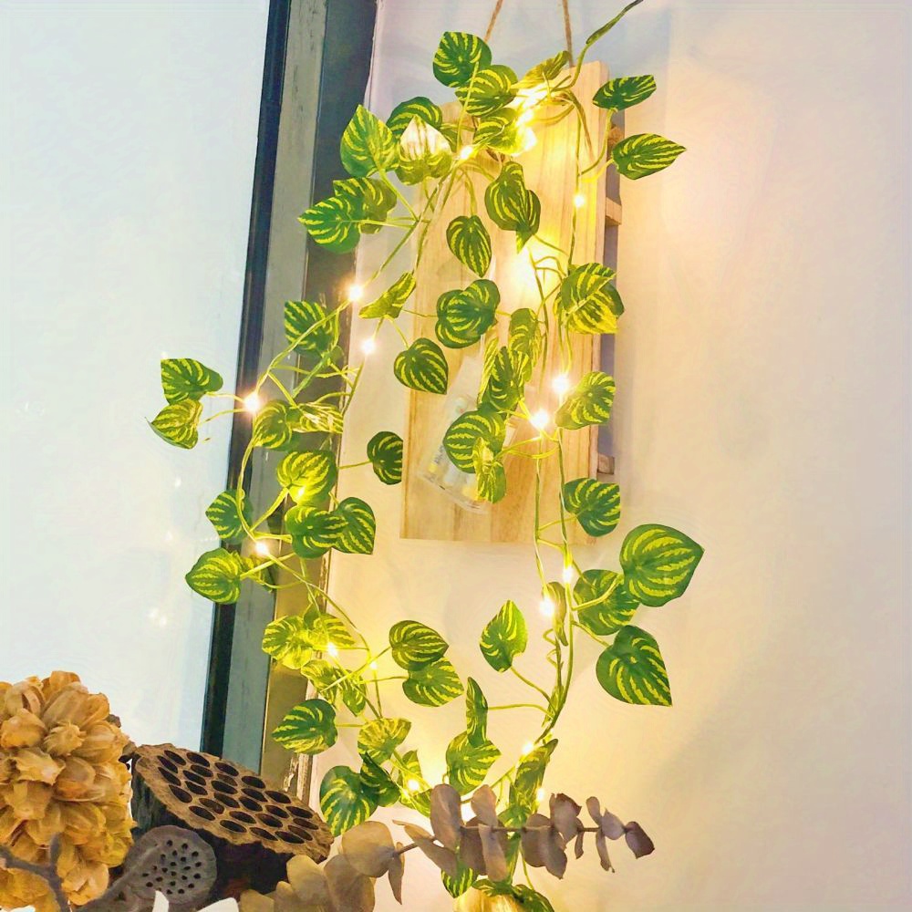 Watermelon String Light - Free Shipping For New Users - Temu Denmark