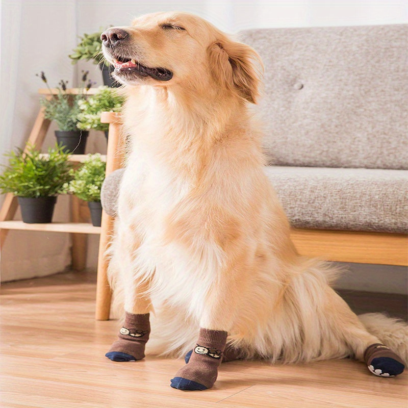 Xxl sale dog socks