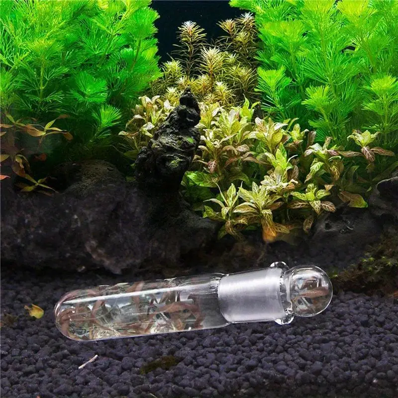 Aquarium Planaria Trap Fish Tank Clear Glass Catch Trap - Temu Canada