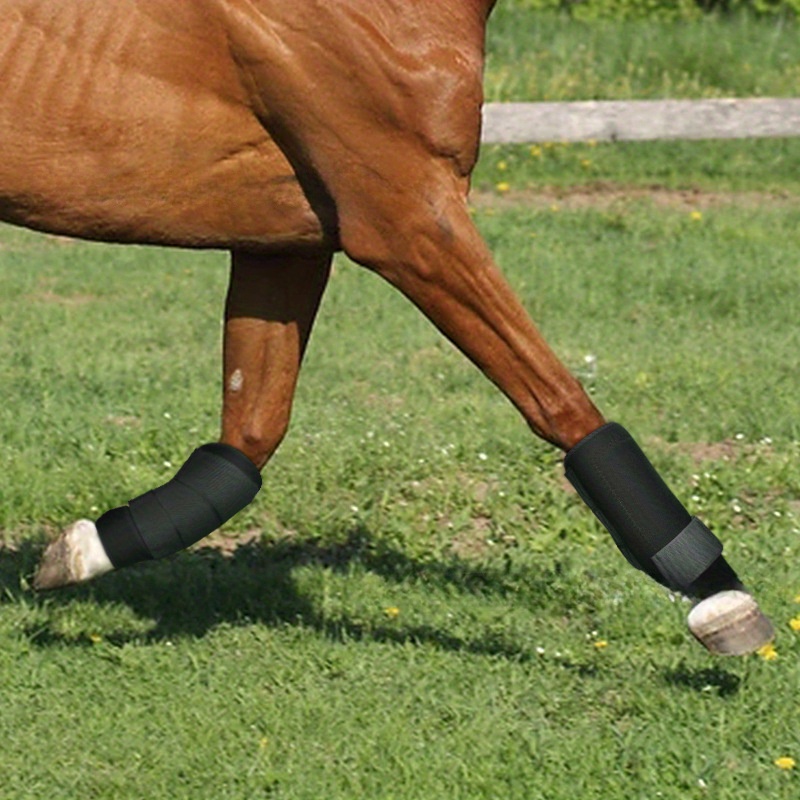 Horse leg hot sale protection boots