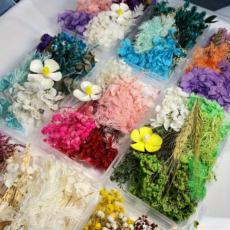 Dried Small Flowers for Resin Tinest Dried Flowers for Resin Jewelry Resin  Supply Hydrangea Dried Different Flower Mix Dried Forget Me Nots 