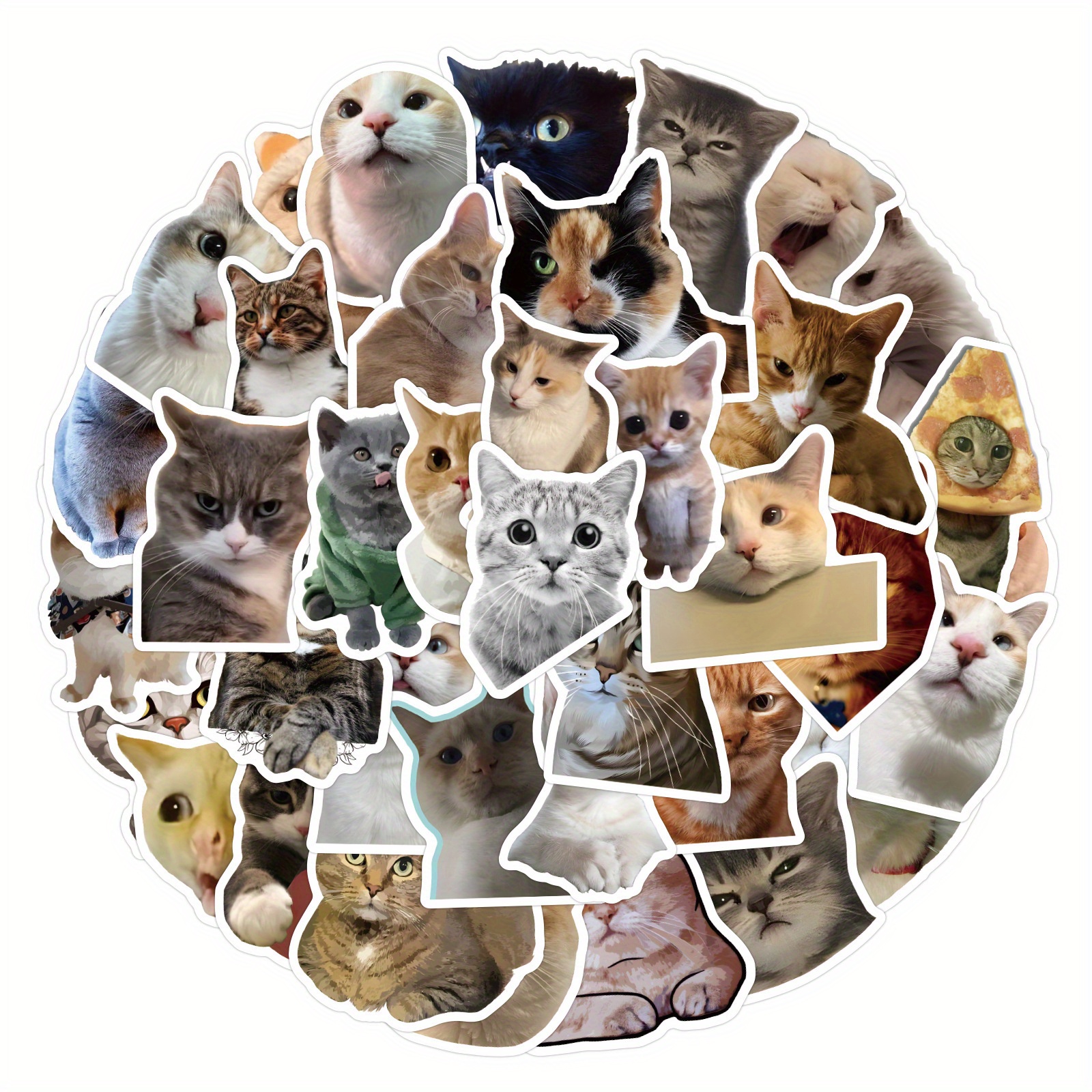 Cat Stickers Cute Realistic Cat Waterproof Stickers Real Cat - Temu