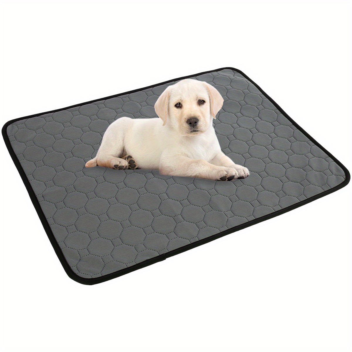 Washable Dog Mat Easy To Clean Pet Muddy Paws Rug Absorbent Dogs Diapers  Pads Soft Cushion For Small Large Dogs - AliExpress