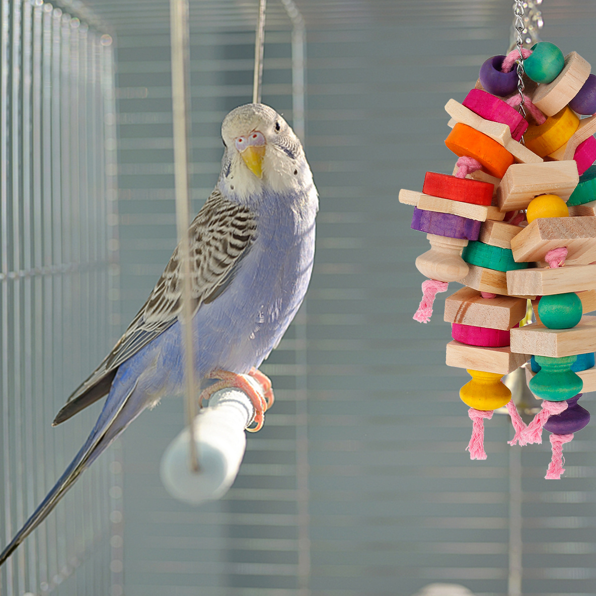 Parrot Chewing Toy Bird Beak Grinding Stone Bell Calcium - Temu Canada