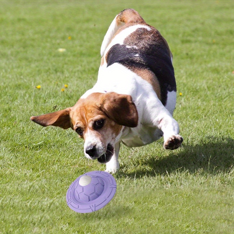 Dog Training Toys Outdoor Floating Flying Dog Disc - Temu