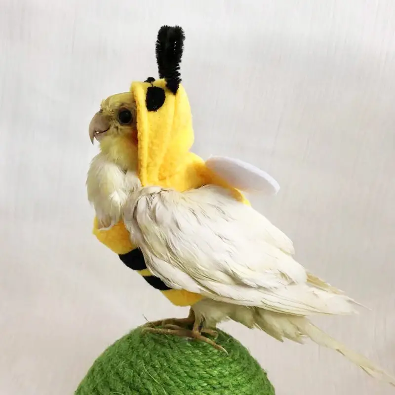 Cartoon Bee Design Bird Costume Bird Dress Up Party Holiday - Temu