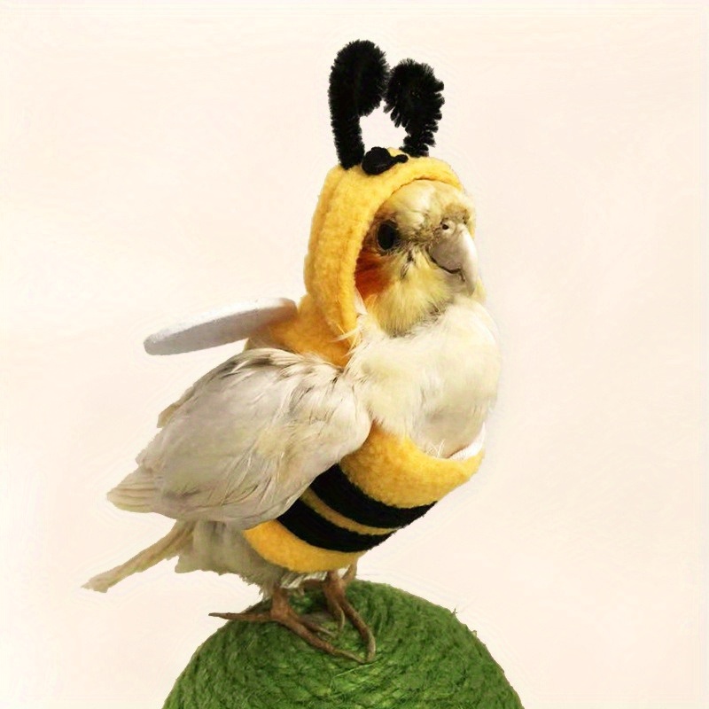 Disfraz de Cuervo con Pico y Plumas para hombre