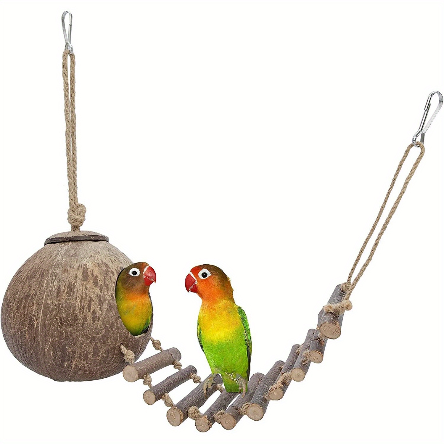 Bird Cages, Grass Bird Huts, Hanging Bird Houses, and Nesting Perches for  Your Feathered pets
