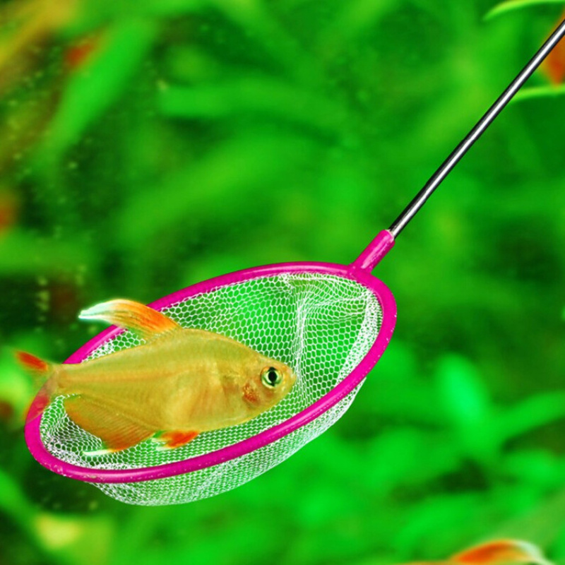 Fish Tank Aquarium Fish Net for Smaller Size Fish. 